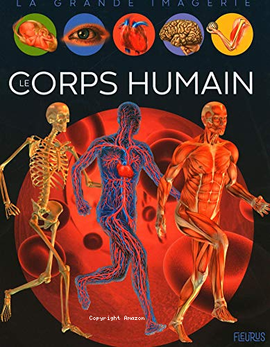 Le corps humain