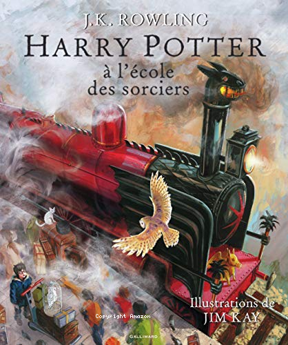 Harry Potter &agrave; l'&eacute;cole des sorciers